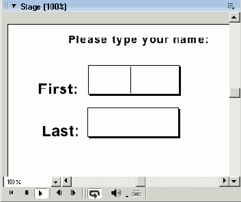 Практическое упражнение 14.1: Применение редактируемых текстовых полей