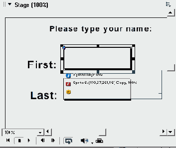 Практическое упражнение 14.1: Применение редактируемых текстовых полей