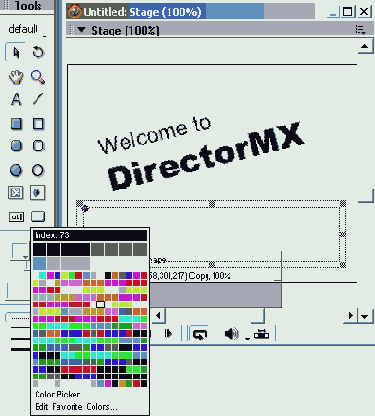 Практическое упражнение 2.1: Использование основных инструментов Director'a