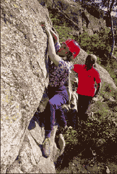 ����������