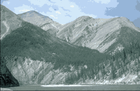 ��������� � �����