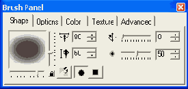 ��������� �������� Video Paint