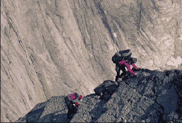 ����������