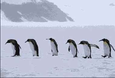 ���� � ��������� ������