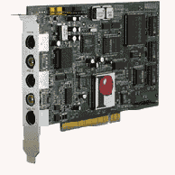 �� ���� ������ ������ �������� 