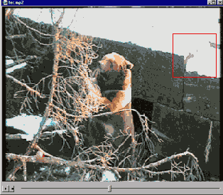 ��� ����� ��������� ��������� ���������� 