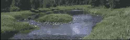 ��� �� ������ �������� ���������� 