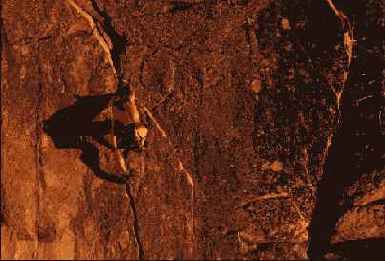 ��� �� ������ �������� ���������� 