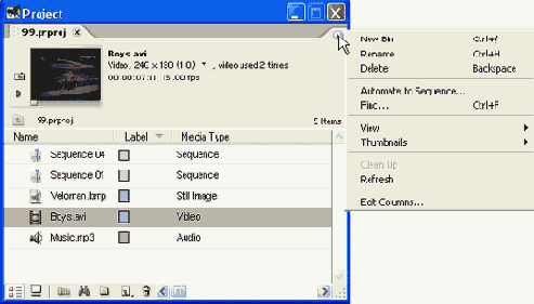 Панель инструментов окна Project