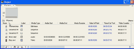 Вид списка окна Project