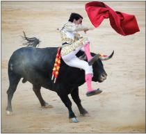 �������� �. - �������. ������ �������� ����������������