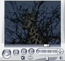 Жираф был немного темноват