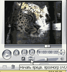 Чтобы просмотреть DVDфильм щелкните по вот этой кнопочке