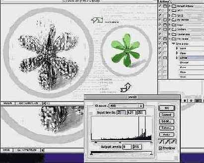 �������� �����, ����������� �����������, ���������� 