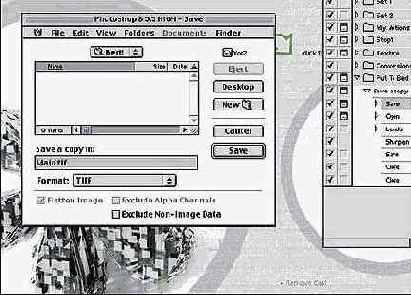 �������� �����, ����������� �����������, ���������� 