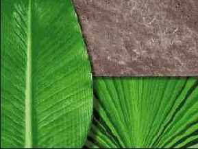 ��������� ������������ �������� ������ ����� 