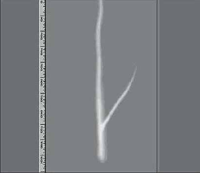 � ��� ���� ������� ����� 