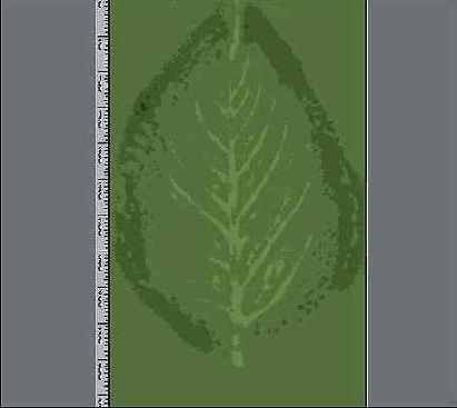 ������� �� �������� ����� ���� 