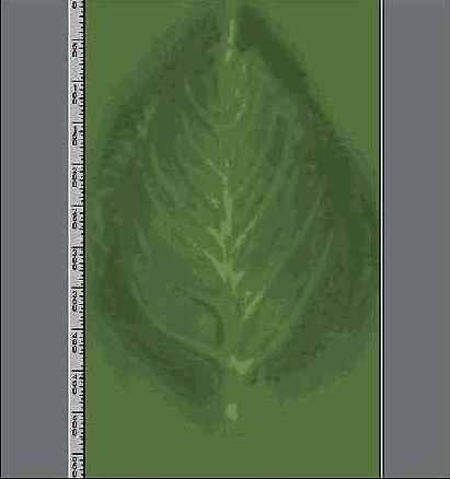 � ����, ��������� ���� ����� 