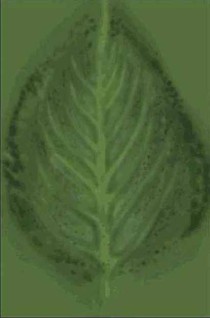 � ���������� ������. ����� ��������� 