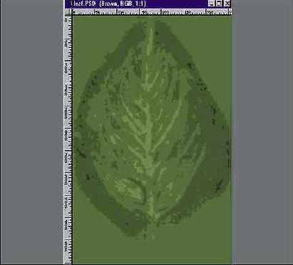 ��� ���������� �������� �������� ����� 