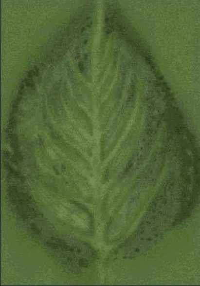 ��� �������� ����� ������� ������� 