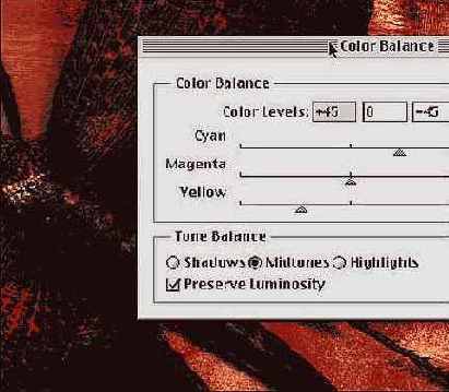 Photoshop � Illustrator ������� � �������������� �����