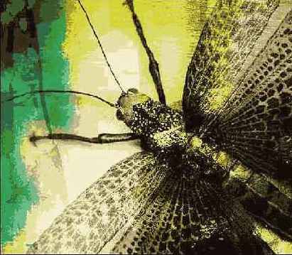 Photoshop � Illustrator ������� � �������������� �����