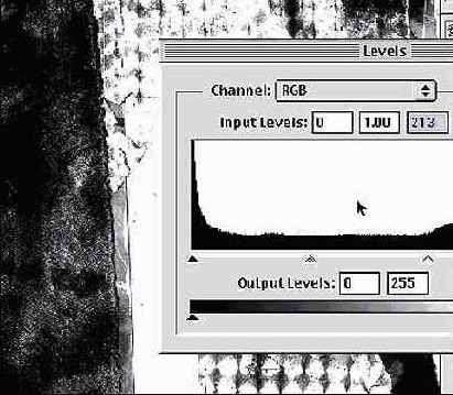 Photoshop � Illustrator ������� � �������������� �����