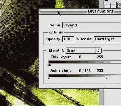 Photoshop � Illustrator ������� � �������������� �����