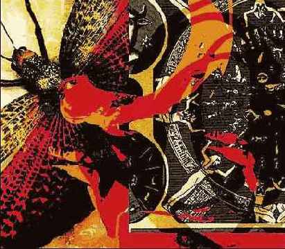 � ���������� ���������� ����, ��� 