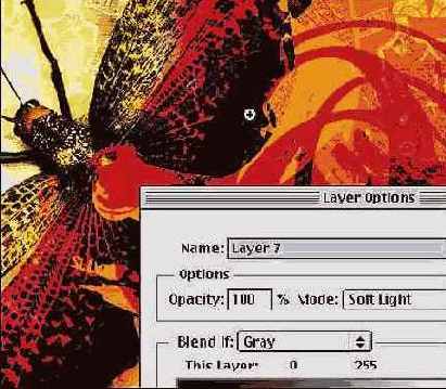 � ���������� ���������� ����, ��� 