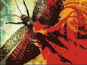 Photoshop � Illustrator ������� � �������������� �����