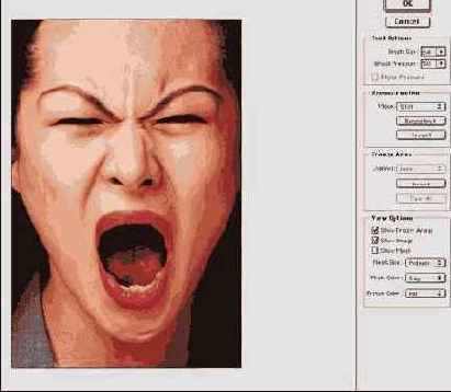 � Liquify �������� ������ ������ 