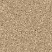 �������� ����� ����. ������� ��� 