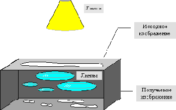 ����������� ��������