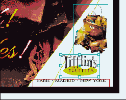 � ���� ����� �� ����������� 