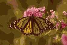 �������������� � �������������� �����������.