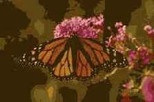 �������������� � �������������� �����������.