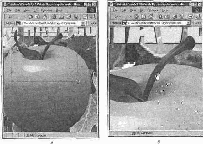 ����������� Zoom � Push ��������� � � ���� ��������