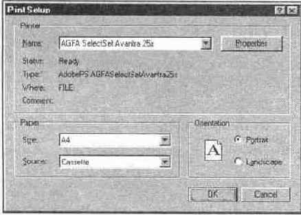 ���������� ���� Print Setup