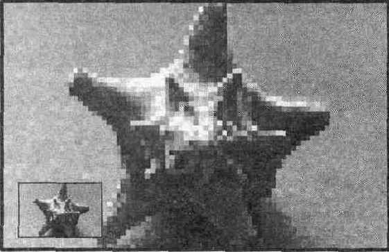 ��������� ��������� �������� �����������