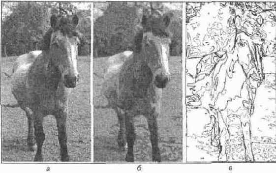 ����������� ��������� �����������