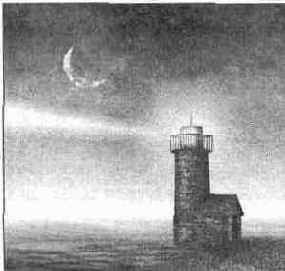 ���� �� ������ ����