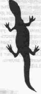 ������������� ����� �� �������� �����