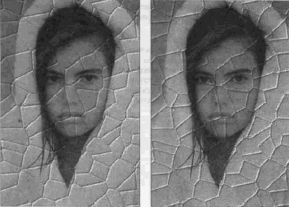 ����������� � ����������� ���������, ������������������ ��