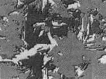 ����������� � ����������� ��������