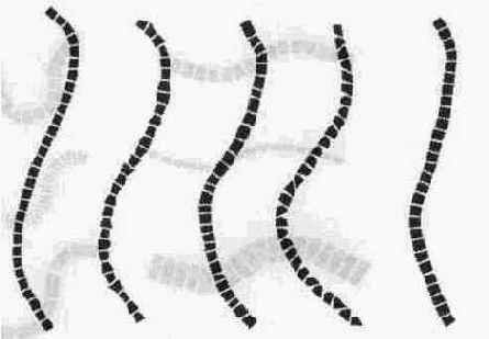 ������ ������� � ������ Randomness