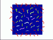 ������ �������� �������� ��������� ������� ����, ��� ��� - ��������, � �� ������������� ����