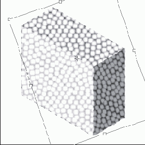 � ���� ������� �������� ���������